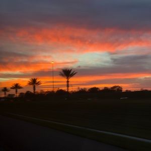 Meet your Posher, Isabella